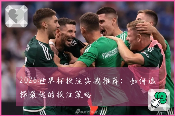 2026世界杯投注实战推荐：如何选择最优的投注策略