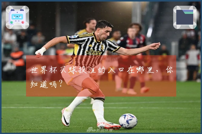 世界杯买球投注的入口在哪里，你知道吗？