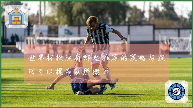 世界杯投注有哪些推荐的策略与技巧可以提高获胜概率