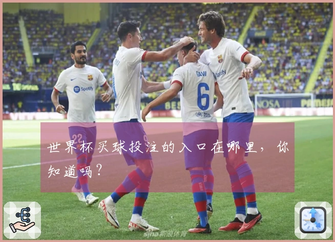 世界杯买球投注的入口在哪里，你知道吗？
