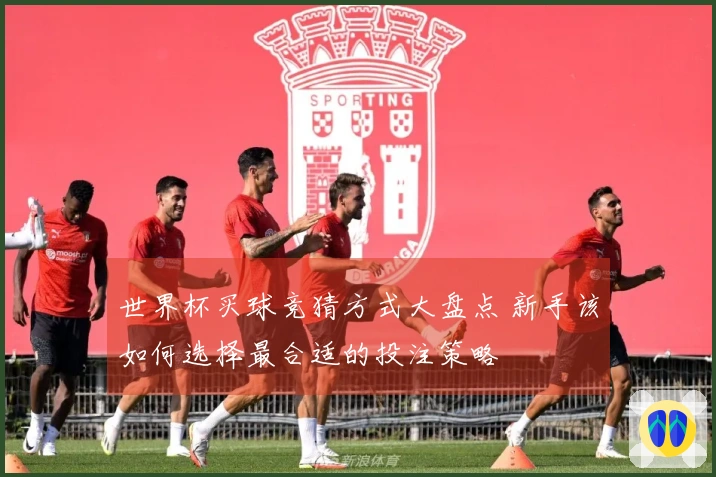 世界杯买球竞猜方式大盘点 新手该如何选择最合适的投注策略