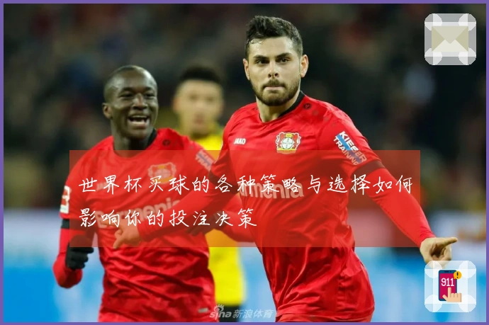世界杯买球的各种策略与选择如何影响你的投注决策