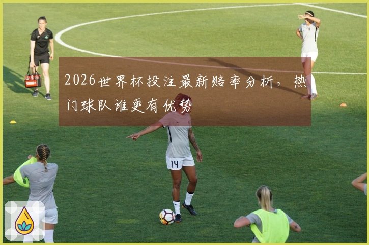 2026世界杯投注最新赔率分析，热门球队谁更有优势
