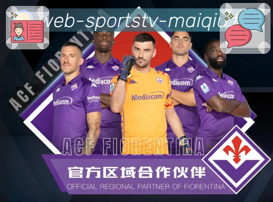 比分分析